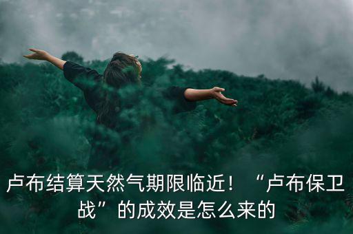 盧布保衛戰是什么導致的,盧布保衛戰的成效是怎么來的