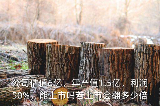公司估值6億，年產(chǎn)值1.5億，利潤50%，能上市嗎若上市會翻多少倍