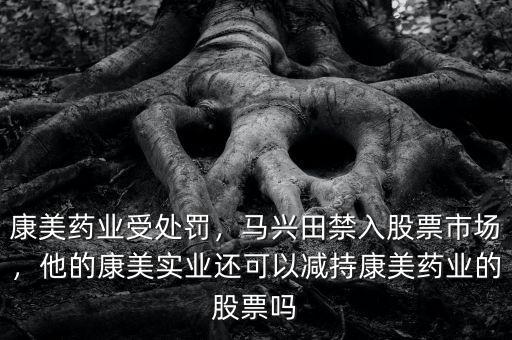 康美藥業怎么樣,康美藥業受處罰