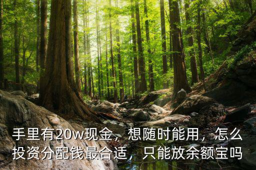 手里有20w現金，想隨時能用，怎么投資分配錢最合適，只能放余額寶嗎