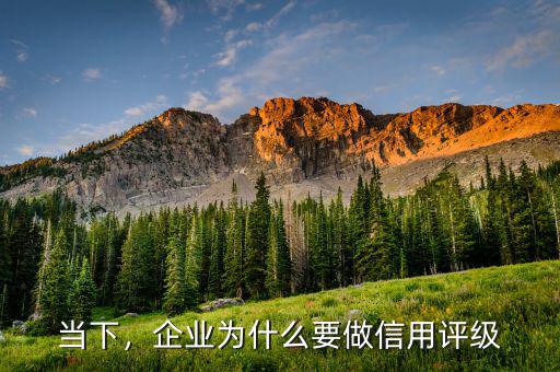 當下，企業為什么要做信用評級