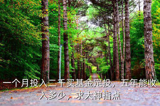 指數型基金能收入多少,五年能收入多少