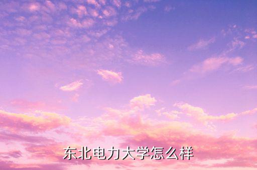 東電創新怎么樣,東北電力大學怎么樣