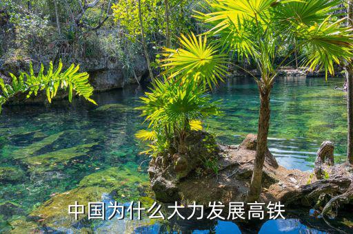 中國為什么發展,中國為什么發展如此之快