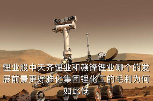 天齊鋰業為什么大跌,昨天天齊鋰業股票大跌原因