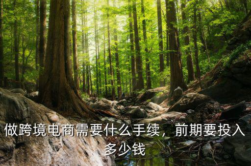 做跨境電商需要什么手續，前期要投入多少錢