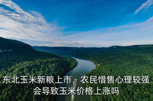 東北玉米新糧上市，農民惜售心理較強會導致玉米價格上漲嗎