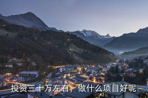 投資三十萬左右，做什么項目好呢