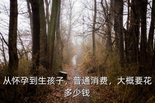 從懷孕到生孩子，普通消費，大概要花多少錢