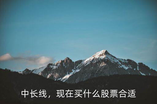 長線投資什么股票最好,現在買什么股票合適