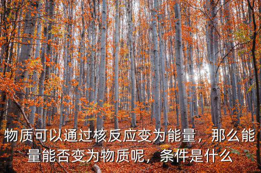 物質(zhì)可以通過核反應變?yōu)槟芰浚敲茨芰磕芊褡優(yōu)槲镔|(zhì)呢，條件是什么