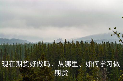 現(xiàn)在期貨好做嗎，從哪里、如何學(xué)習(xí)做期貨
