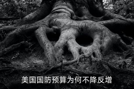 美國有多少項預算法律,美國欠聯合國會費有多少錢了