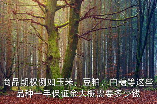 商品期權(quán)例如玉米，豆粕，白糖等這些品種一手保證金大概需要多少錢