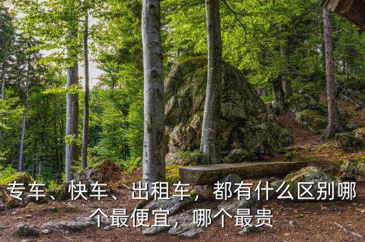 專車、快車、出租車，都有什么區別哪個最便宜，哪個最貴
