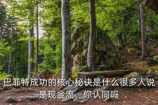 巴菲特成功的核心秘訣是什么很多人說是現金流，你認同嗎