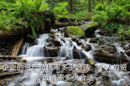工業企業資產負債率多少合適,企業的資產負債率多少合適