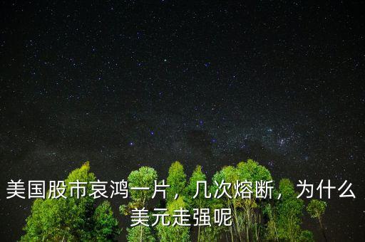 美國股市哀鴻一片，幾次熔斷，為什么美元走強呢