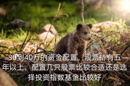 30到40萬的資金配置，股票持有五年以上，配置幾只股票比較合適還是選擇投資指數基金比較好