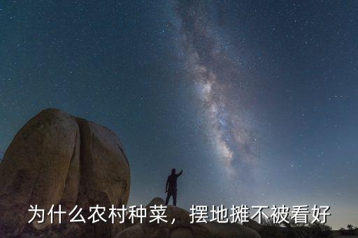 為什么農村種菜，擺地攤不被看好