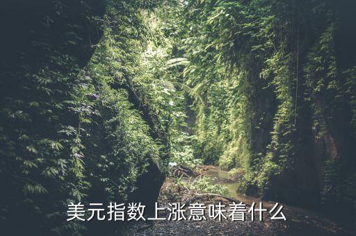 美元指數有什么用,美元指數上漲意味著什么