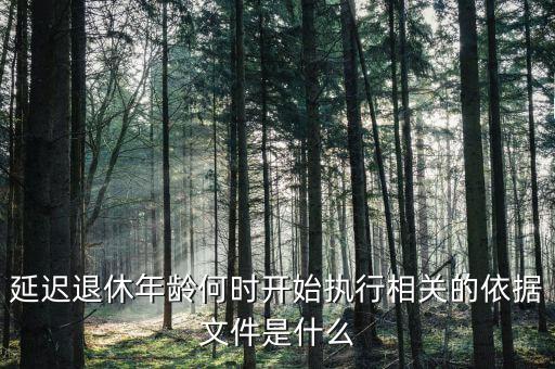 延遲退休什么時間執行,相關的依據文件是什么