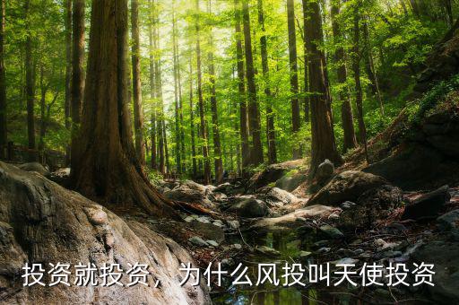 投資就投資，為什么風投叫天使投資