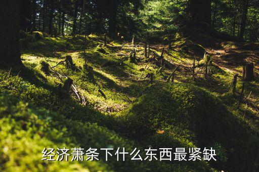 經濟蕭條下什么東西最緊缺