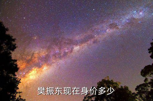 樊振東現在身價多少