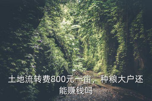土地流轉做什么賺錢,土地流轉了農民沒事做了