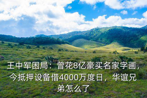 王中軍困局：曾花8億豪買名家字畫，今抵押設備借4000萬度日，華誼兄弟怎么了