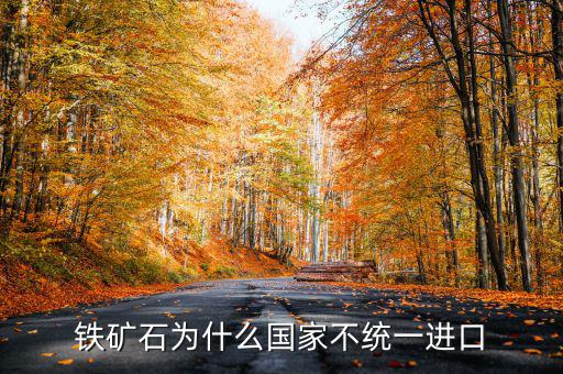 鐵礦石為什么國家不統一進口