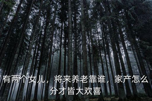 有兩個女兒，將來養老靠誰，家產怎么分才皆大歡喜
