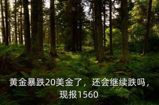 黃金暴跌20美金了，還會繼續(xù)跌嗎，現(xiàn)報1560