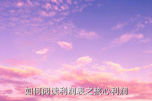 什么是核心業務利潤,如何閱讀利潤表之核心利潤
