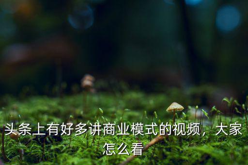頭條上有好多講商業模式的視頻，大家怎么看
