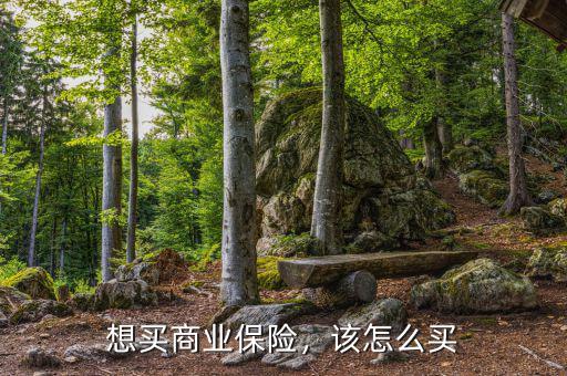 想買商業保險，該怎么買