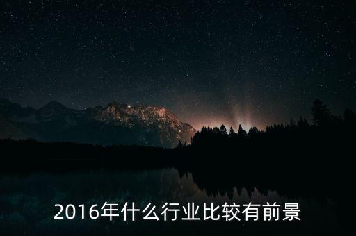 2016年什么行業比較有前景