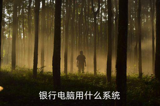銀行電腦用什么系統