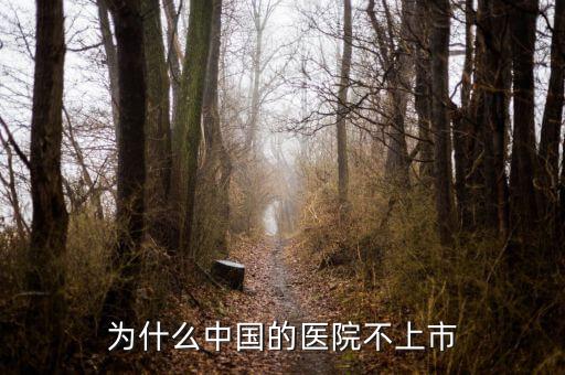 為什么中國的醫院不上市