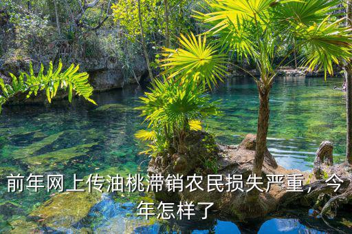 前年網(wǎng)上傳油桃滯銷(xiāo)農(nóng)民損失嚴(yán)重，今年怎樣了
