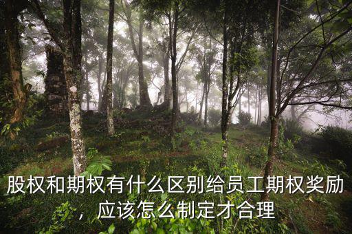 期權激勵是什么,股權和期權有什么區別