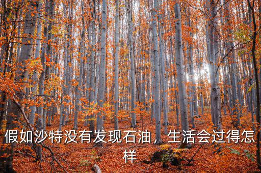假如中國沒有發現油田會怎么樣,會有什么不同