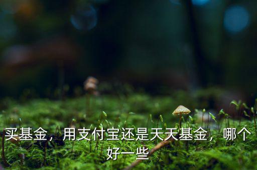 買基金，用支付寶還是天天基金，哪個好一些