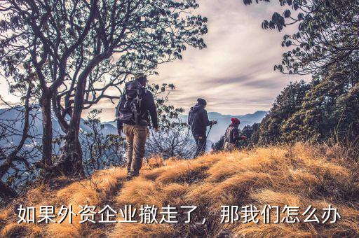 如果外資企業撤走了，那我們怎么辦