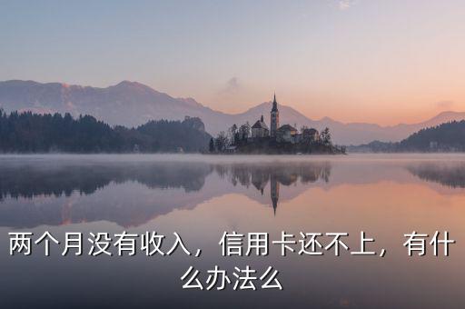 兩個月沒有收入，信用卡還不上，有什么辦法么