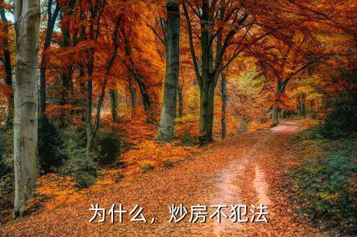 為什么，炒房不犯法