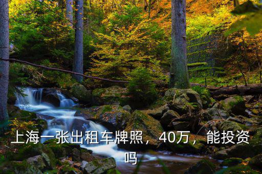 上海一張出租車牌照，40萬，能投資嗎