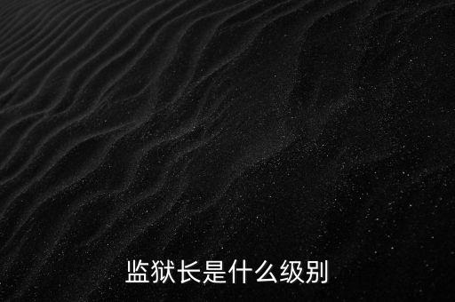 申維辰是什么級別,市醫院院長是什么級別