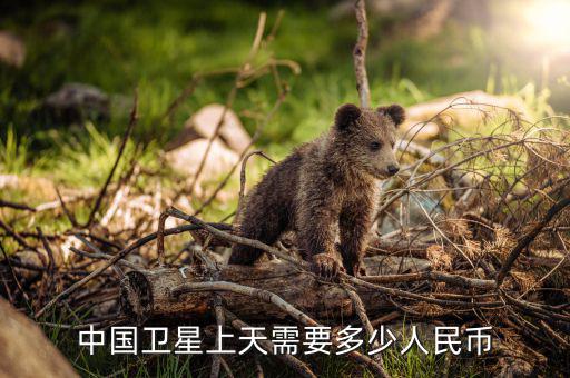 中國衛星上天需要多少人民幣